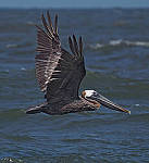 Click to see YE10088-EDIT.JPG