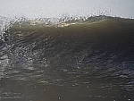 Click to see YI10159.JPG