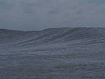 Click to see YI10292.JPG