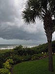 Click to see YK10131.JPG
