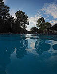 Click to see YL-0193-8MM-EDIT.JPG