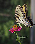 Click to see YL-78-KIT-EDIT.JPG