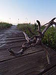 Click to see YM-090022.JPG