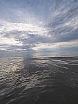 Click to see YM-100052.JPG