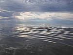 Click to see YM-100064.JPG