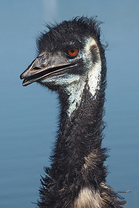 Nikon D5500 Review - sample image