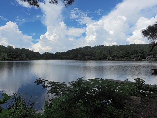 Olympus E-M10 II Review - sample image