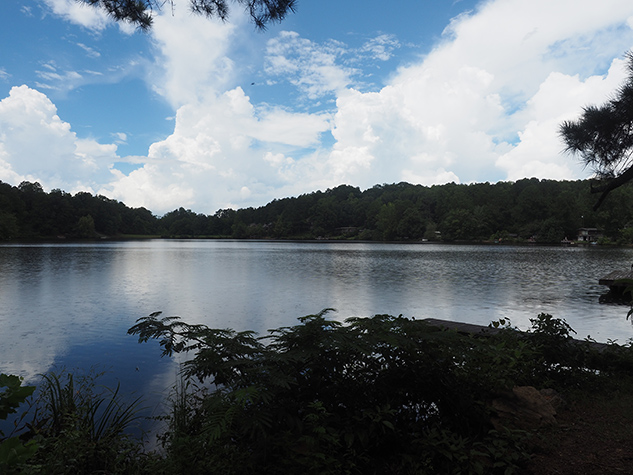 Olympus E-M10 II Review - sample image