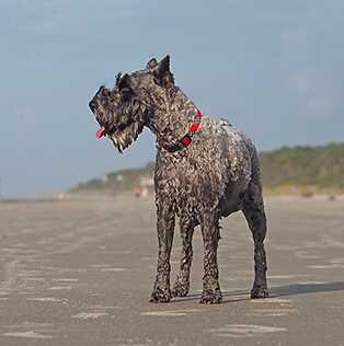 Olympus E-M10 II Review - sample gallery image
