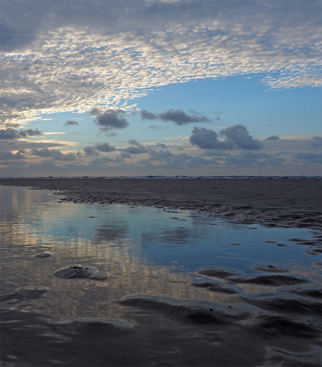 Olympus E-M10 II Review - Sample Image