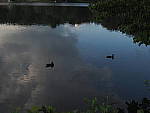 Click to see Y-ISO-P0004.JPG
