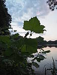 Click to see Y-ISO-P0006.JPG