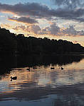 Click to see Y-ISO-P0016-edt.JPG