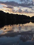 Click to see Y-ISO-P0016.JPG