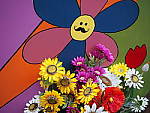 Click to see YP8270537.JPG