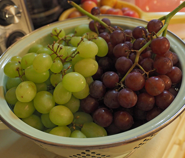 Olympus E-M10 III - Sample Image