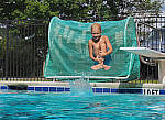 Click to see Y-DP-P1010181-EDT.JPG