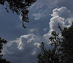 Click to see Y-DP-P1010196-EDT.JPG