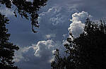 Click to see Y-DP-P1010198-EDT.JPG