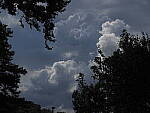Click to see Y-DP-P1010198.JPG