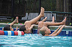 Click to see Y-DP-P1010267-EDT.JPG