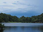 Click to see Y-DP-P1010273.JPG