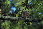 Click to see Y-DP-P1020285-EDT.JPG