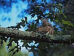 Click to see Y-DP-P1020288-EDT.JPG