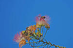 Click to see Y-DP-P1020362-EDT.JPG