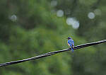 Click to see Y-DP-P1050468-EDT.JPG