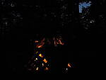 Click to see Y-DP-P8010051.JPG