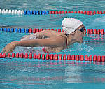 Click to see YP1010060-ED.JPG