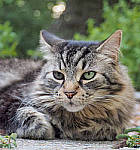 Click to see YP1010367-ED.JPG