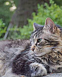 Click to see YP1010369-ED.JPG