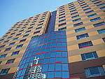 Click to see YP1200009.JPG
