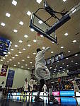 Click to see YP2200472.JPG