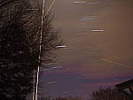 Click to see YP3090861.JPG
