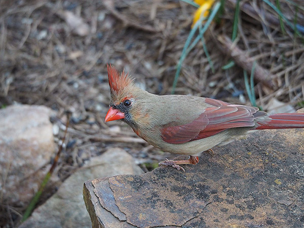 Olympus E-M10 Review -- Gallery shot