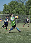 Click to see Y-50-200-0088-EDT.JPG
