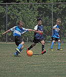 Click to see Y-50-200-0112-EDT.JPG
