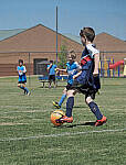 Click to see Y-50-200-0125-EDT.JPG