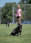 Click to see Y-50-200-0160-EDT.JPG