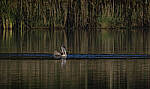 Click to see Y-DP-10826-EDT.JPG