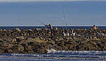 Click to see Y-DP-10957-EDT.JPG