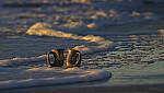 Click to see Y-DP-11114-EDT.JPG