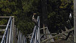 Click to see Y-DP-11249-EDT.JPG
