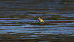 Click to see Y-DP-11302-EDT.JPG