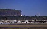 Click to see Y-DP-11365-EDT.JPG