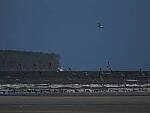 Click to see Y-DP-11365.JPG