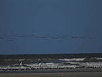 Click to see Y-DP-11368.JPG